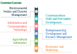 Common Courses