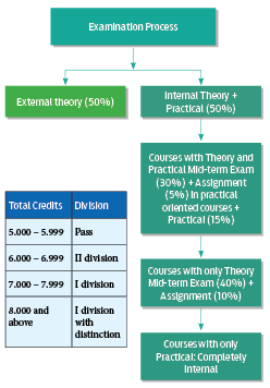 Evaluation Process