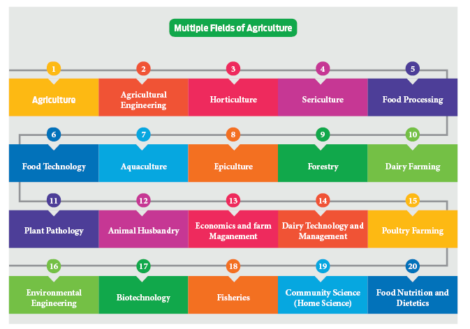 Fields of Agriculture