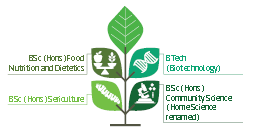 New Degree Programmes