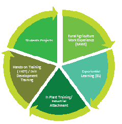 New Initiatives in Courses